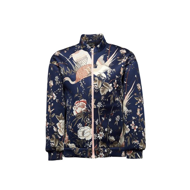 5863 Bobo Bomber Japanese birds